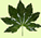 menu item icon
